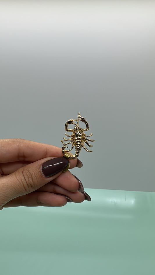 Scorpion Pendant